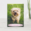Search for dog mothers day cards Best
