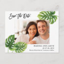Search for palm leaves save the dates Botanical