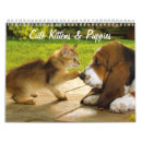 Search for cute kitten calendars Kittens
