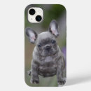 Search for envelopes electronics Dog