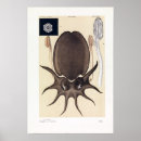 Search for john wilde posters Wildlife