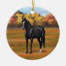 Search for stallionness ornaments Black stallion