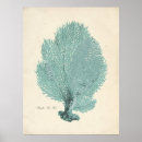 Search for aqua sea posters Marine life