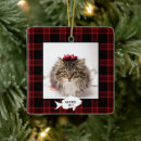 Search for pet ornaments Buffalo plaid
