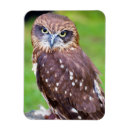 Search for owl decor magnets Nature
