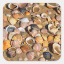Search for beach shells square stickers Boat