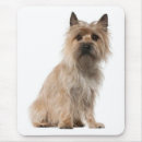 Search for cairns mousepads Puppy