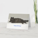 Search for cat birthday cards Black