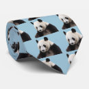 Search for panda bears ties Dad