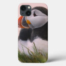 Search for puffin electronics Iceland