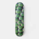 Search for cactus skateboards Southwest