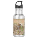 Search for cheetah water bottles Cat