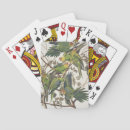 Search for bird playing cards Ornithology