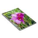 Recherche de cattleya Floral