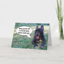 Search for french get well cards Pet