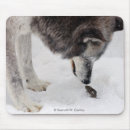 Search for wolf mousepads Nature