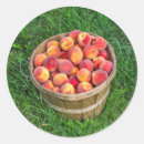 Search for baskets stickers Fruit