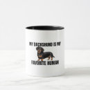 Recherche de teckels tasses Pour tous