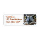 Search for with owl return address labels Bird