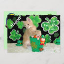 Search for cat st patricks day cards Kitten