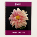 Search for home photography office supplies School