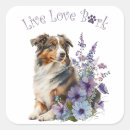 Search for australian shepherd dog stickers Puppy