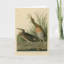 Search for marsh cards Bird