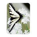 Search for mother easter cards White