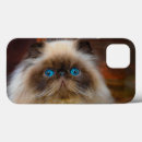 Search for himalayan iphone cases Kitten