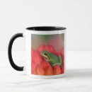 Search for darrell mugs Tree frog