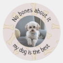 Search for bone stickers Dog bones
