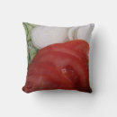 Recherche de légumes coussins Fruits