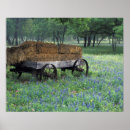 Search for wagon wheels posters Rural