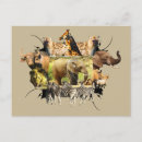Search for splashing postcards Wildlife photography