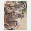 Search for meerkat blankets Africa