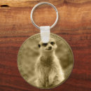 Recherche de suricates porteclés Meerkat