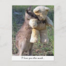 Recherche de ours nounours cartes postales Mignonette