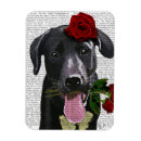 Recherche de chien de labrador magnets Fleurs