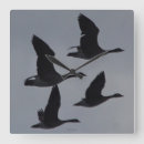 Recherche de gosse horloges Waterfowl