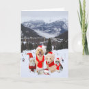 Search for funny skiing christmas cards Cat