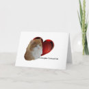 Search for norwegian cards Cat