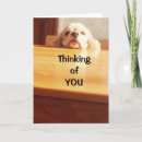 Search for hope you feel better soon Thinking of you