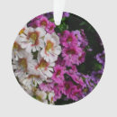 Search for pink butterfly ornaments White