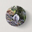 Search for cute sheep buttons Farms
