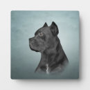 Recherche de dog plaques Mignon