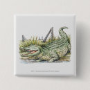 Search for alligator square buttons Animal