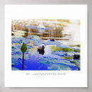 Recherche de rose lilly Vert