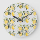 Search for lemon clocks Summer