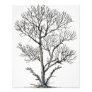 Recherche de arbre noir et blanc art Mural