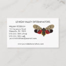 Search for bugs business cards Insects